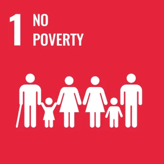 UN sustainable development goals