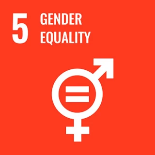 UN sustainable development goals